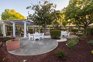 The courtyard with various chairs and couches at Sunnyvale Gardens